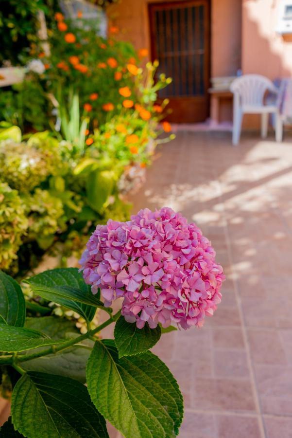 Valsamis Villa Apartments Poros  Exterior photo